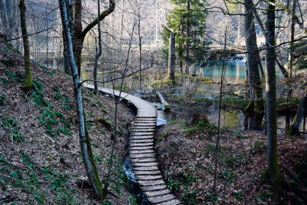 istock Plitvice Lakes National Park, Croatia 1202467170