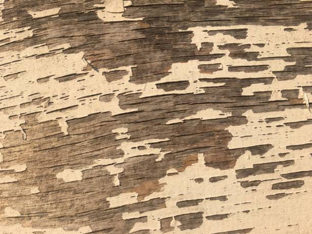 istock The house wall is peeling paint. 1202467925