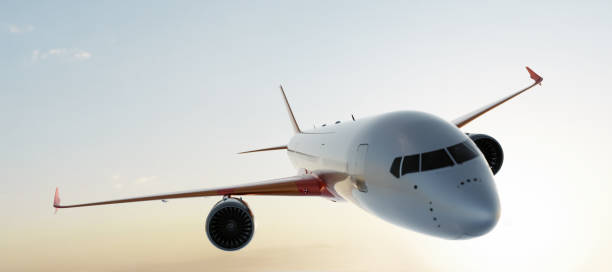 istock Commercial airplane flying on sunset sky 1202469285