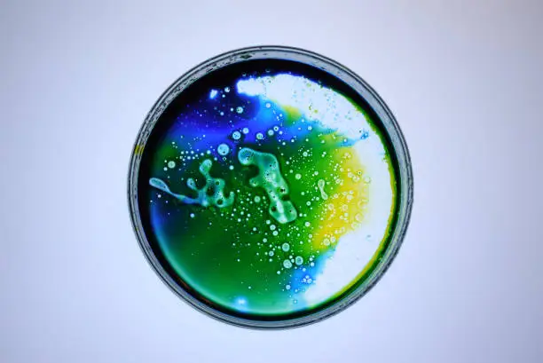 Photo of Organic Micro Organism in Petri dish with copy space