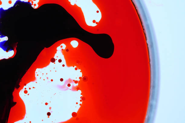 primer plano de micro organism en líquido rojo en un plato de petri - petri dish bacterium pathogen micro organism fotografías e imágenes de stock
