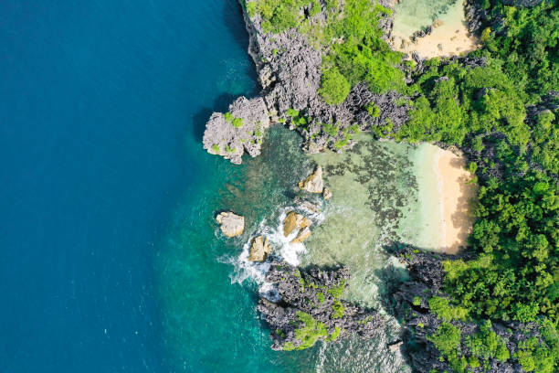 istock White sand beach on a tropical island, top view. Wild white sand beach 1202471993