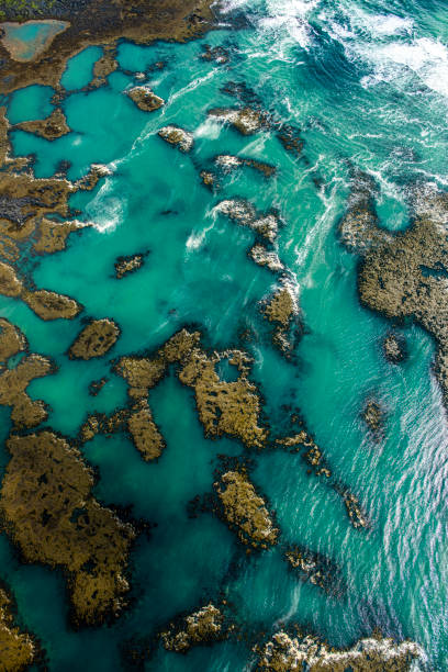 istock An emerald-colored waters foaming while hitting the Iceland shoreline, shot from above 1202472462