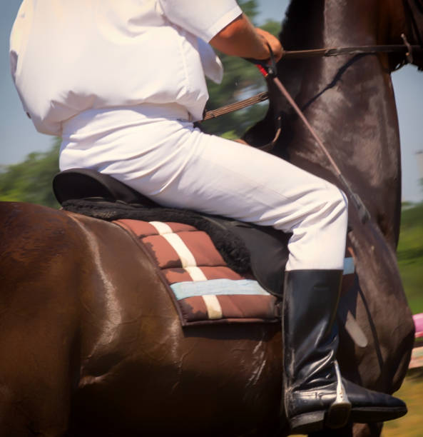 istock horse close up with unknown rider under leather saddle 1202473833