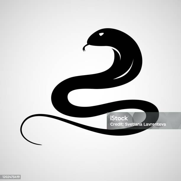 Snake Vector Abstract Vector Image Of An Snake On White Background Stock Illustration ...
