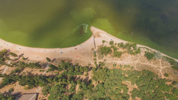 istock Aerial view green river shore in sunny day 1202477981