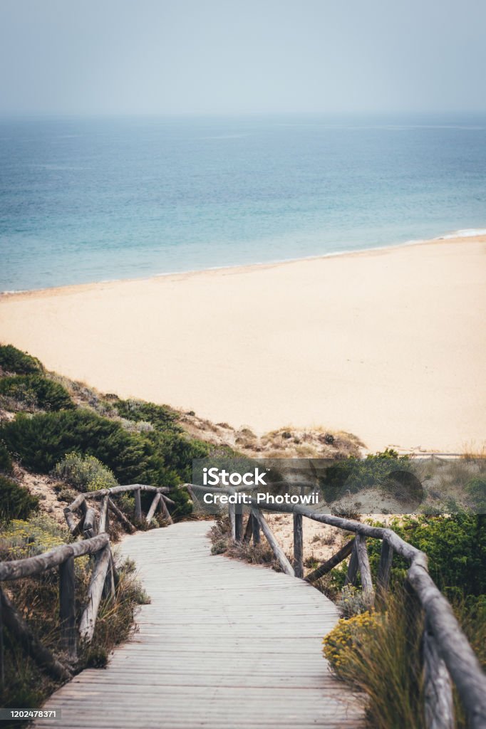 トラファルガー岬自然公園のビーチバルバテスペイン Horizonのストックフォトや画像を多数ご用意 Horizon, アンダルシア州