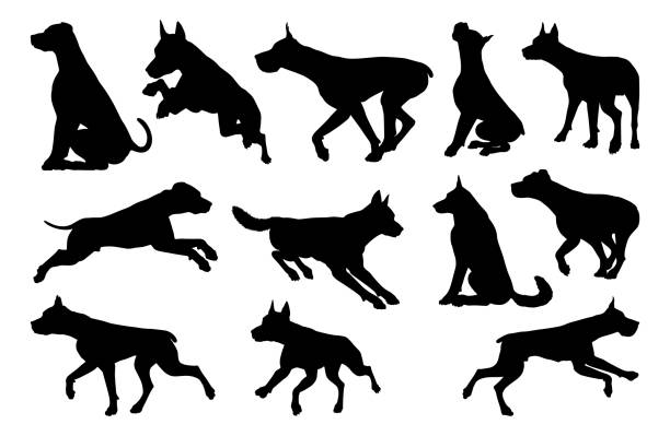 zestaw zwierząt sylwetek dla psów - dog mixed breed dog puppy white background stock illustrations