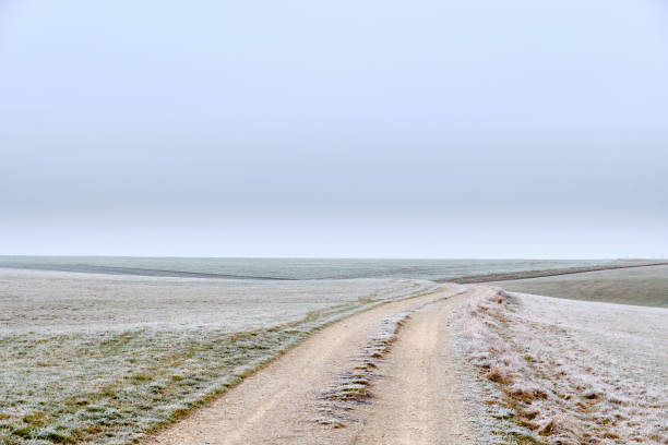 istock Frosty grey winter landscape in the german countryside 1202480970