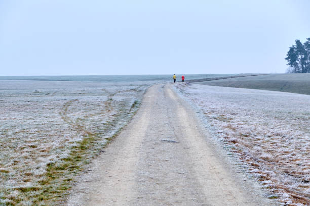 istock Frosty grey winter landscape in the german countryside 1202480995
