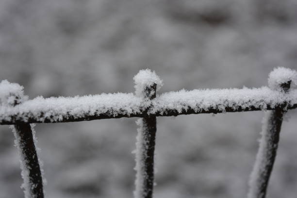 istock A metallic old rusty square-headed, square mesh, a cage decorated with white snow, bright hoarfrost and beautiful snowflakes. 1202485207
