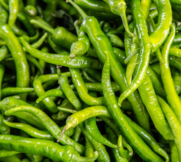 野菜市場で新鮮なグリーン唐辛子 - pepper bell pepper market spice ストックフォトと画像