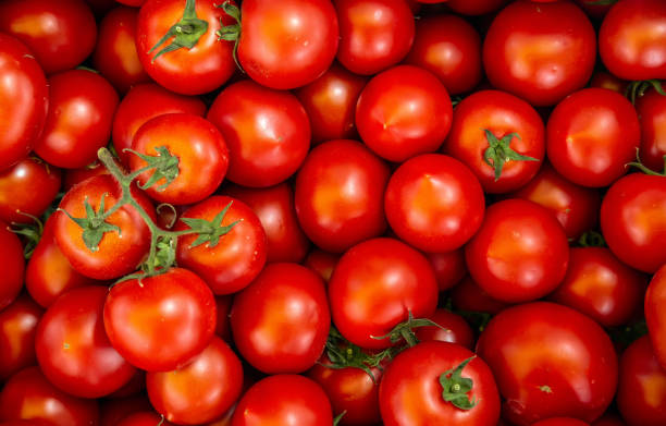 istock organic tomato closeup vegetable background Top view 1202486744
