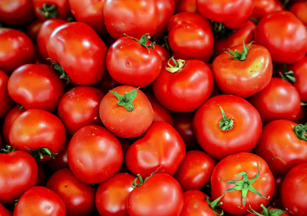 istock fresh red tomatoes closeup vegetable background Top view 1202486793