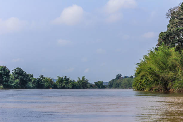 istock River view of asian forest. 1202486854