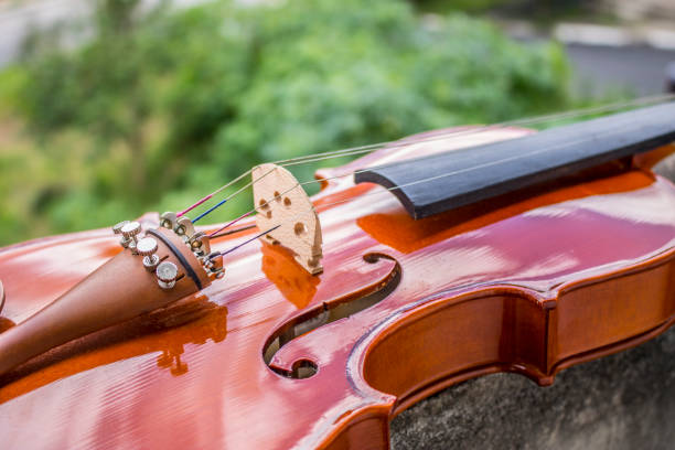 istock violin in its beautiful details 1202487070