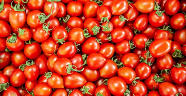 istock tomato ripe red tomatoes closeup vegetable background Top view 1202487266