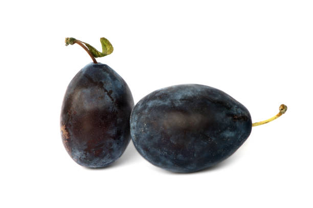 istock Two fresh ripe Stanley Plum isolated on white background 1202487376
