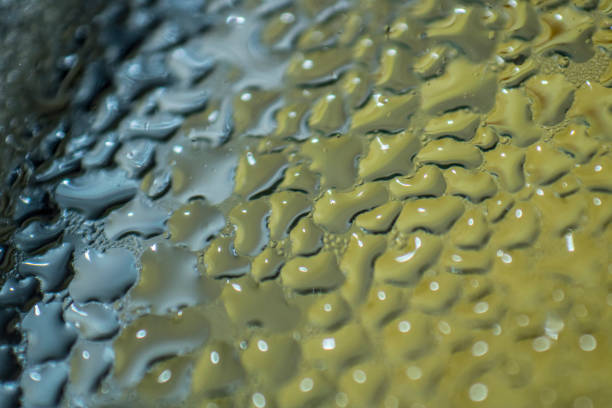 istock drops of water in its details 1202487717