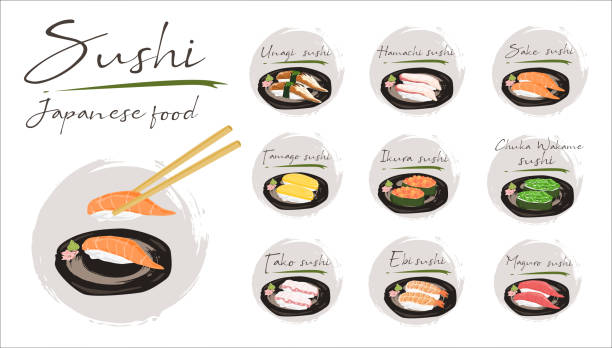 illustrations, cliparts, dessins animés et icônes de ensemble japonais de nourriture, ensemble de sushi sur le fond blanc - cuisine japonaise