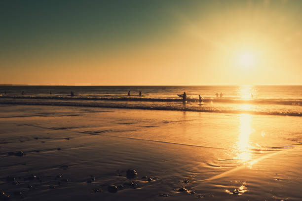 istock People swimming in the ocean at sunset 1202489547