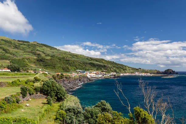 istock Beautiful Pico Island 1202490329