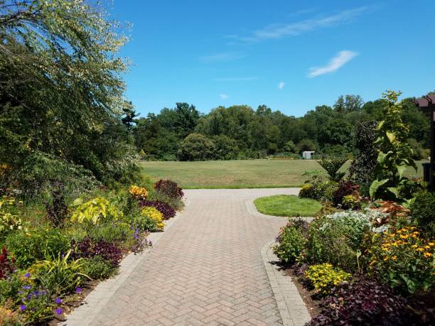 istock brick path and flowers and plants and trees 1202490655