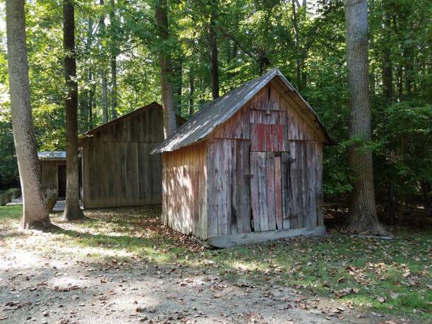 istock storage shed building in the woods or forest with trees 1202490929
