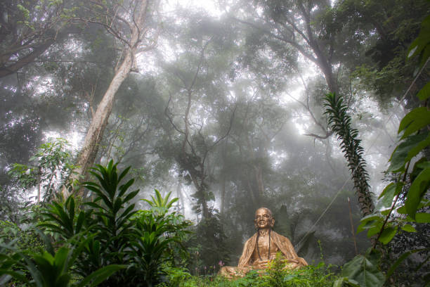 istock Golden Buddha in fog forest 1202492424