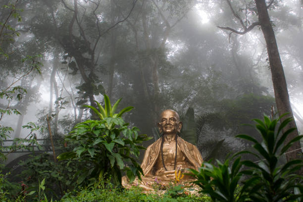 istock Golden Buddha in fog forest 1202492434