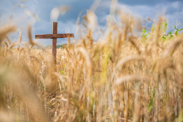 Wooden cross in the field