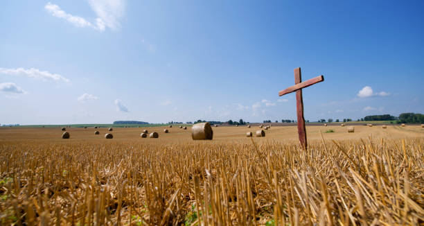istock Wooden cross in the field 1202493895