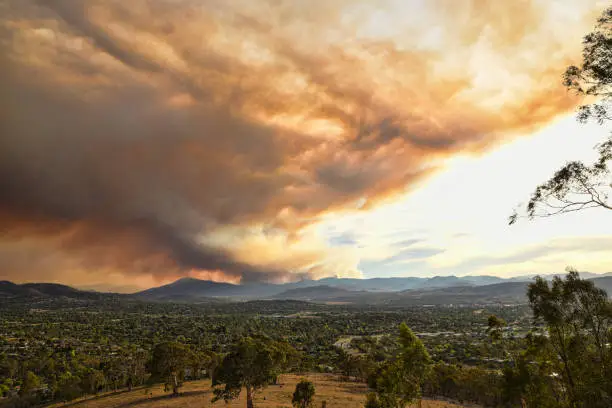 Photo of Fires out of control are spreading quickly in the Brindabella mountains. They are getting closer to suburbs in South Canberra. A massive cloud of smoke spreads in the sky.