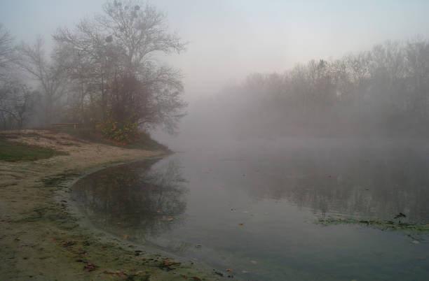 istock River landscape and autumn wood 1202496480