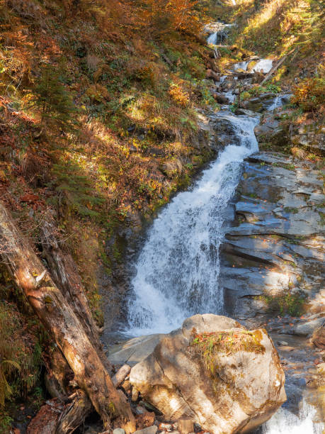 istock Mountain river with a waterfall among stones and autumn forest 1202498648