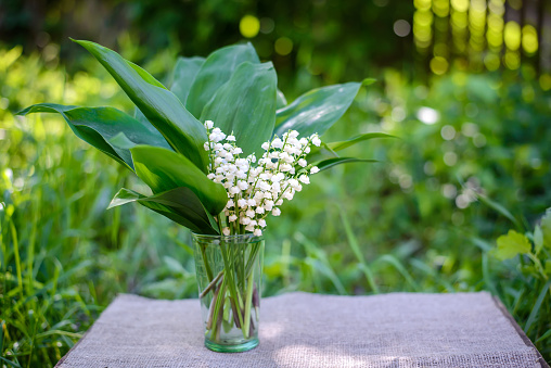 Fresh spring flower bouquet of white lilies of the valley with green leaves on a table in the garden in the sunlight on a blurred background