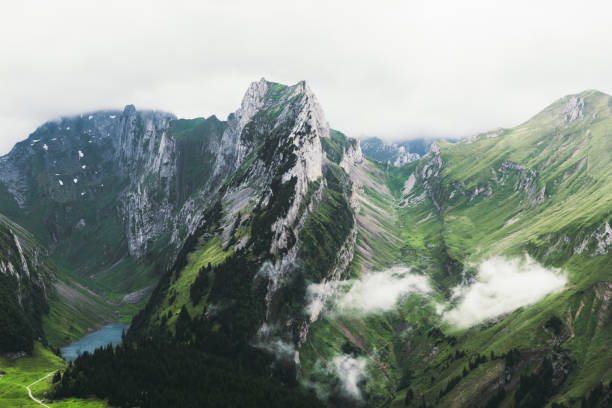 istock Summer in Swiss Alps 1202503072