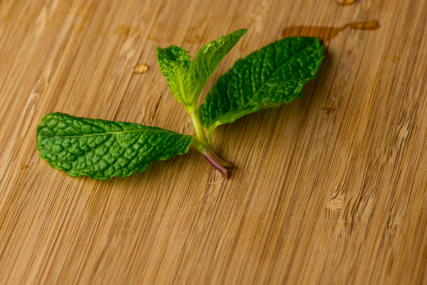 Mint Leaves
