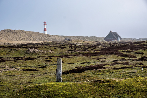 Dune landscape with lighthouse on the island of Sylt, Germany