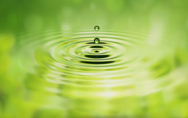 istock water dropswater drops  on green background - 3d rendering - illustration 1202511110