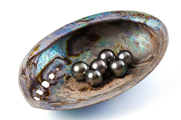 south vedere perle in una shell - perla nera foto e immagini stock