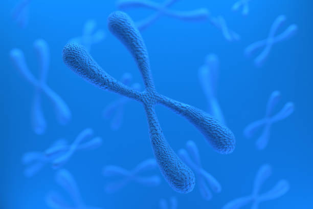 istock 3d rendering of Chromosome Abstract Scientific Background, 3d illustration. 1202513066