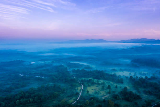 Forest in sunrise in Myanmar of Golden Triangle