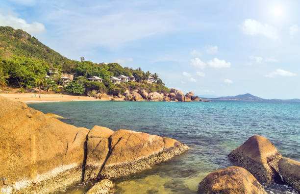 istock Palm Beach In Tropical Paradise Island 1202514856