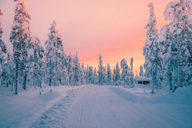 vista del amanecer en el bosque nevado de invierno desde laponia, finlandia - forest tundra fotografías e imágenes de stock