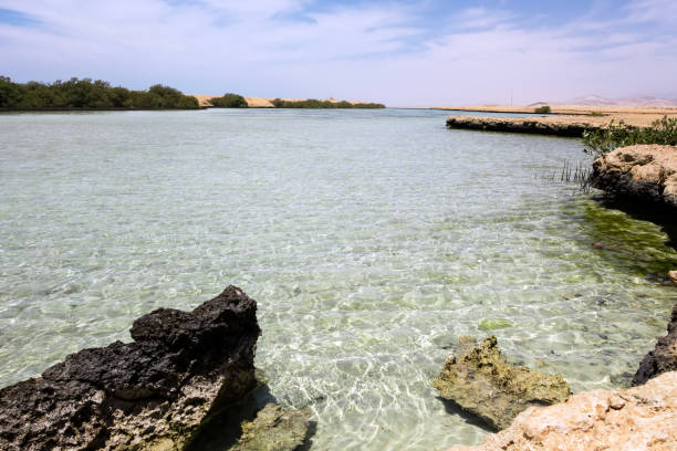 istock Ras Mohammed Mangrove Channel sand Egypt. 1202517201