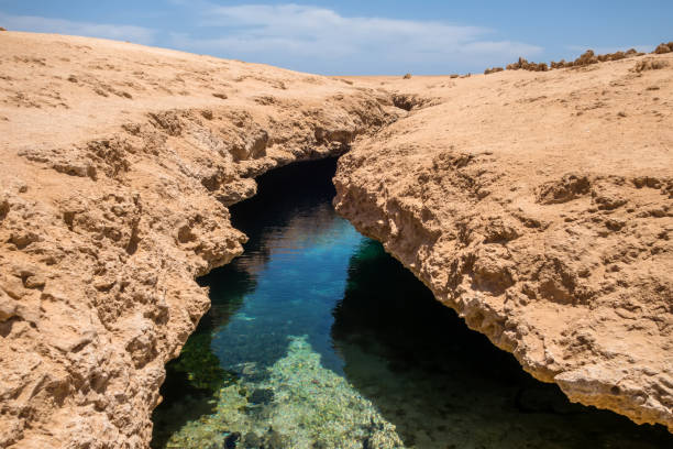 istock Desert earth crack red sea bay. 1202517313
