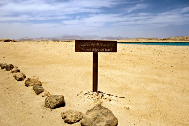 istock Road Trip sign with road 1202517352
