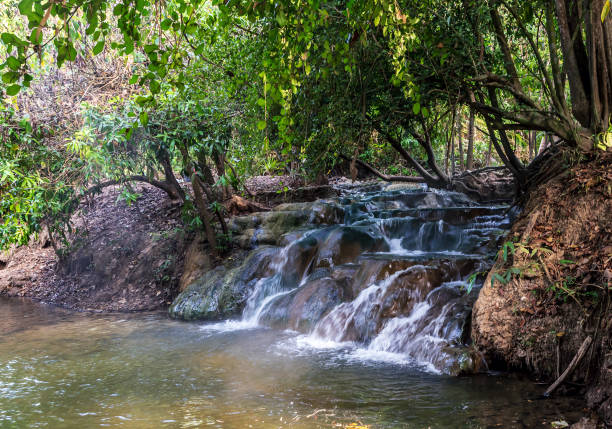 istock Hot Springs background Krabi Thailand. 1202517430
