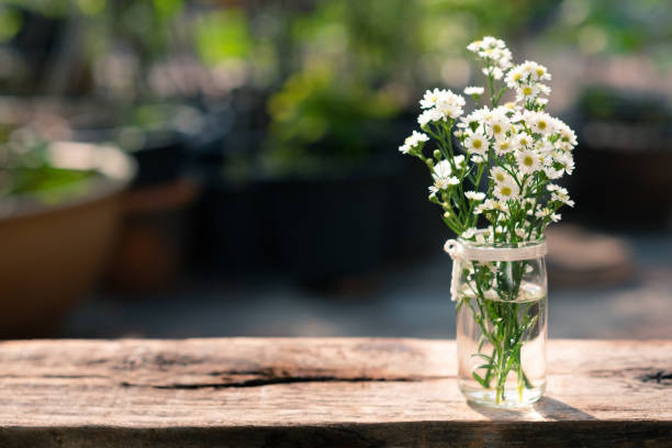 istock White daisy in crystal vase with greenery background. 1202520236